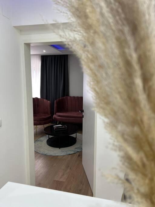 Traum Wohnung Mit Kingsize-Bett Graz Esterno foto